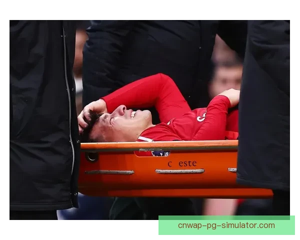 利桑德罗马丁内斯频繁遭遇伤病困扰 曼联防线面临巨大挑战